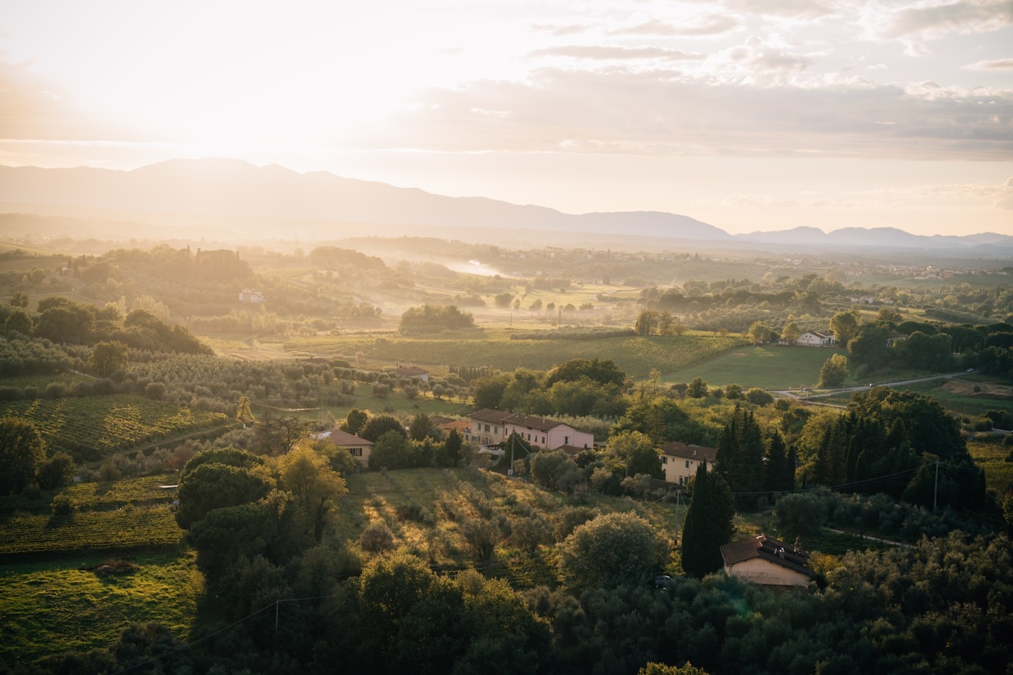 La storia millenaria della nostra azienda agricola