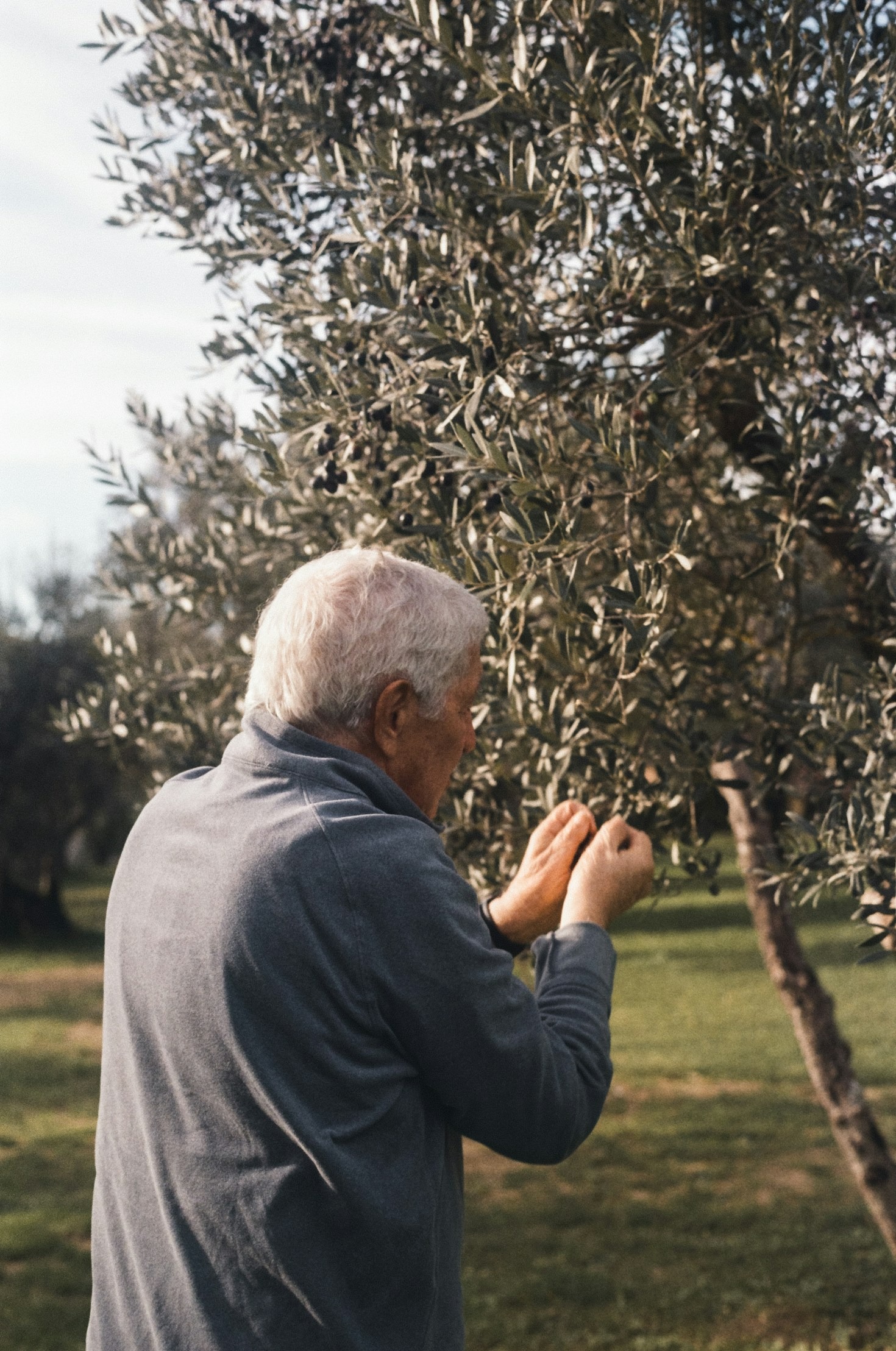 Abbinamenti gastronomici perfetti con l’olio extravergine